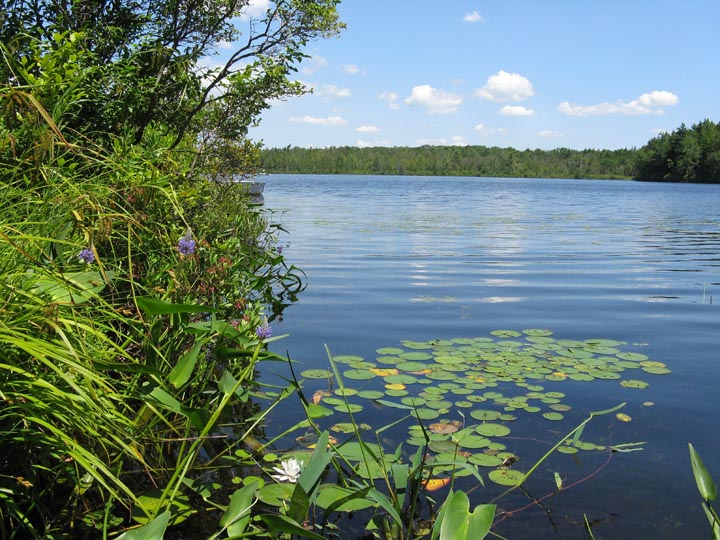 Morning Paddle on Lake Lacawac